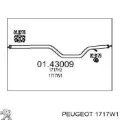 Центральная часть глушителя Peugeot 607 9D, 9U