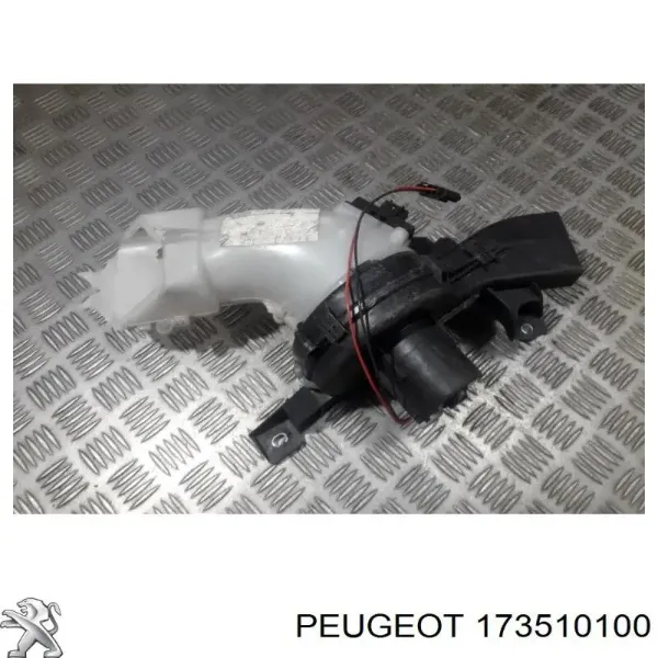  173510100 Peugeot/Citroen