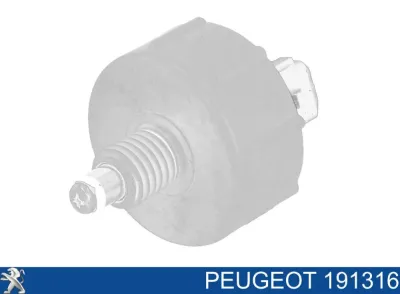 Датчик уровня воды топливного фильтра PEUGEOT 191316