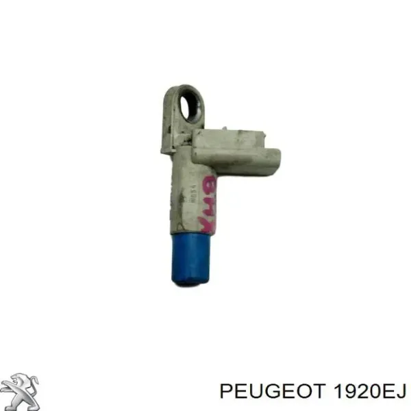 Датчик положения распредвала Peugeot/Citroen 1920EJ