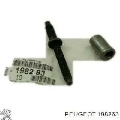 Гайка крепления форсунки Peugeot/Citroen 198263