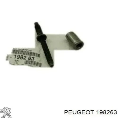 Купить 198263 Peugeot/Citroen Гайка крепления форсунки
