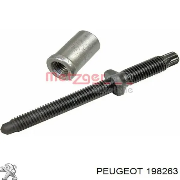198263 Peugeot/Citroen Гайка крепления форсунки