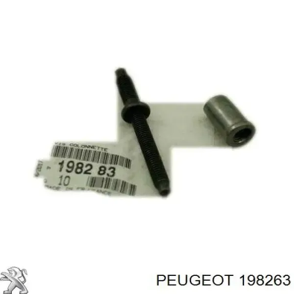 Гайка крепления форсунки 198263 Peugeot/Citroen