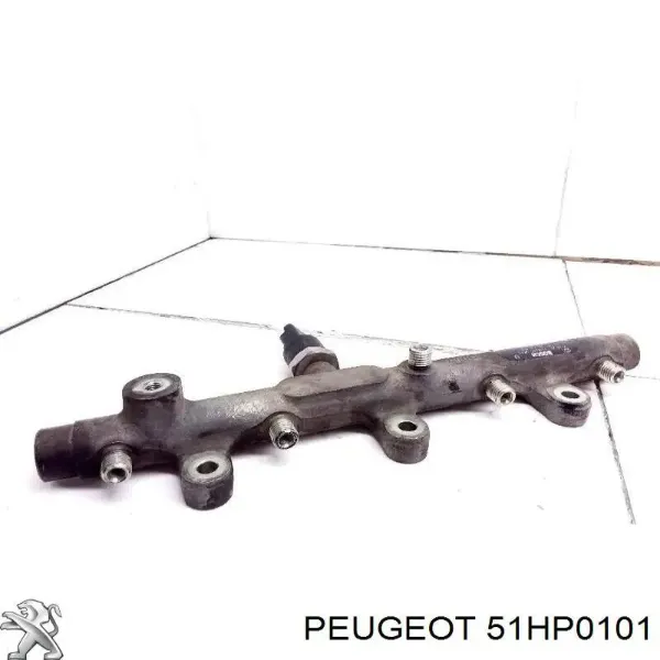  51HP0101 Peugeot/Citroen