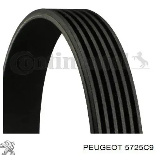 Подшипники генератора 5725C9 Peugeot/Citroen