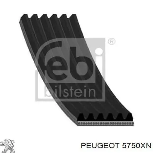 Купить 5750XN Peugeot/Citroen Ремень генератора