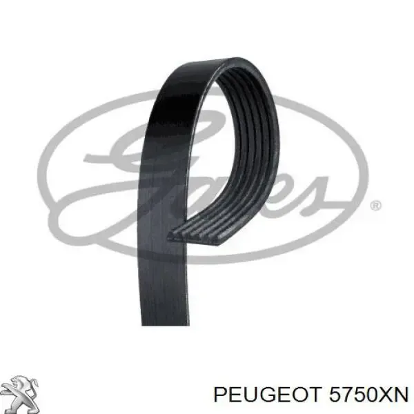 5750XN Peugeot/Citroen Поликлиновый ремень
