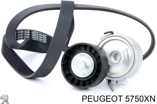 5750XN Peugeot/Citroen Поликлиновый ремень