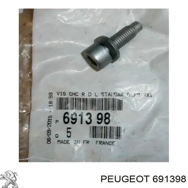 691398 Peugeot/Citroen