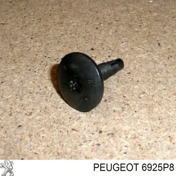 6925P8 Peugeot/Citroen 