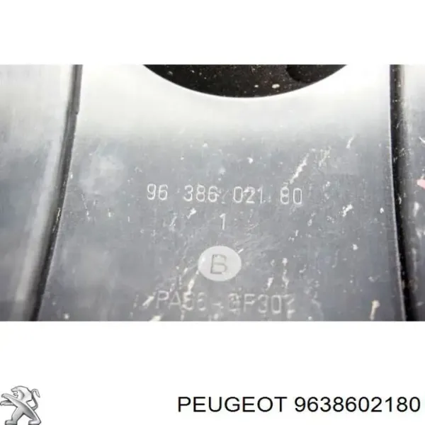  9638602180 Peugeot/Citroen