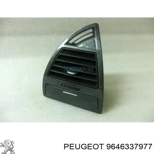  9646337977 Peugeot/Citroen