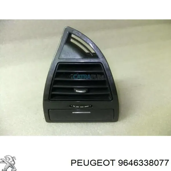  9646338077 Peugeot/Citroen
