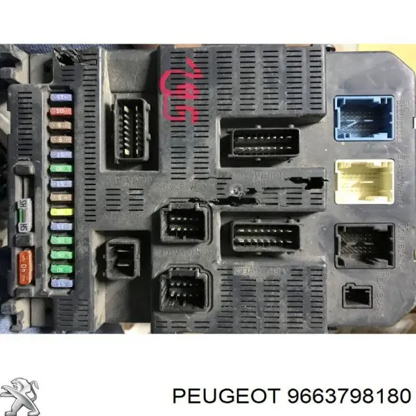  9663798180 Peugeot/Citroen