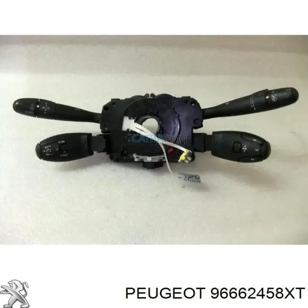  96662458XT Peugeot/Citroen