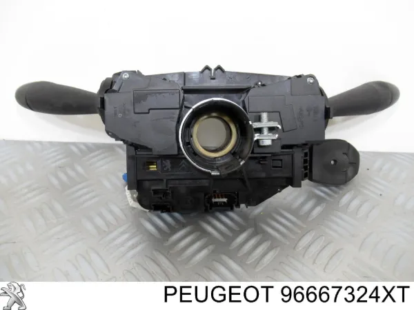  96667324XT Peugeot/Citroen