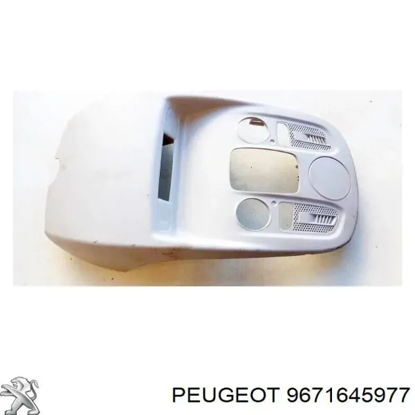  9671645977 Peugeot/Citroen