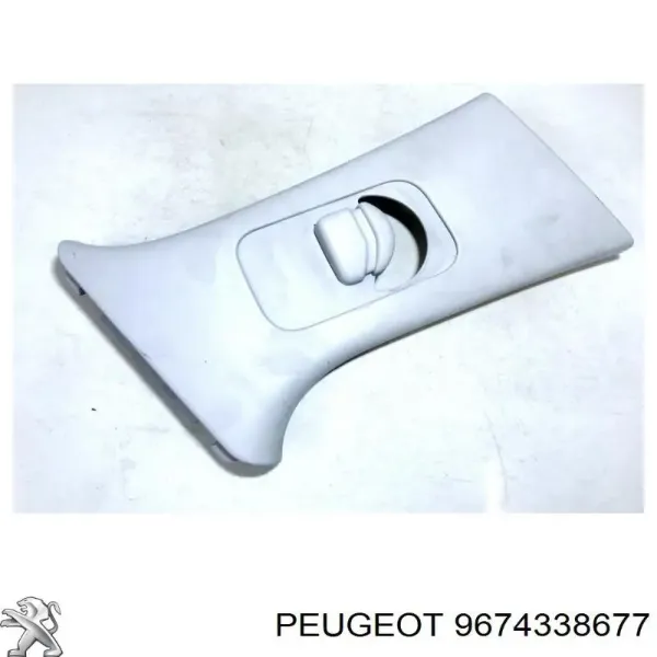  9674338677 Peugeot/Citroen
