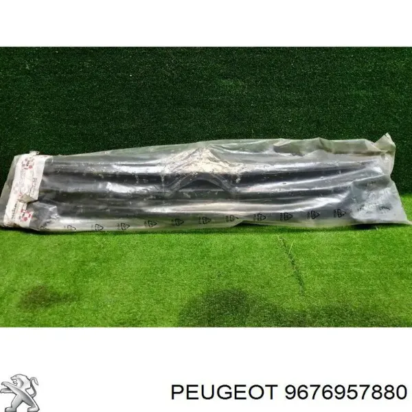 9676957880 Peugeot/Citroen Решетка радиатора