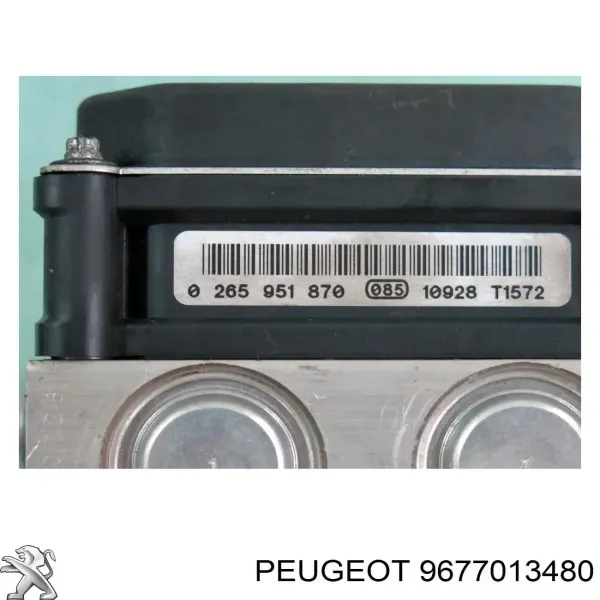  9677013480 Peugeot/Citroen