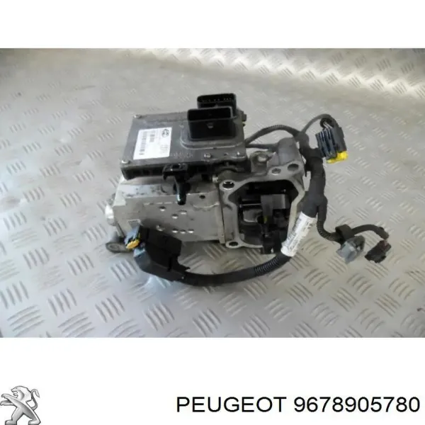  9678905780 Peugeot/Citroen
