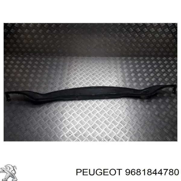  9681844780 Peugeot/Citroen