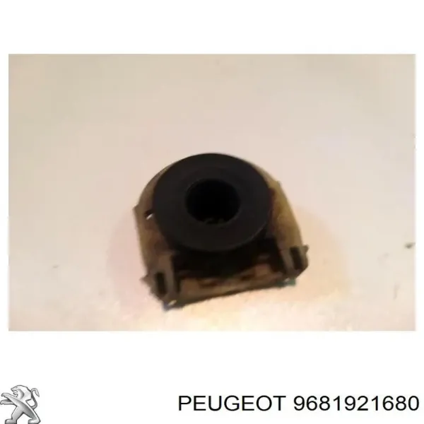  9681921680 Peugeot/Citroen