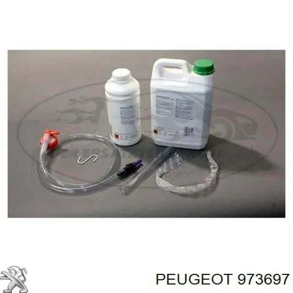 Жидкость для чистки сажекоптевых фильтров 973697 Peugeot/Citroen