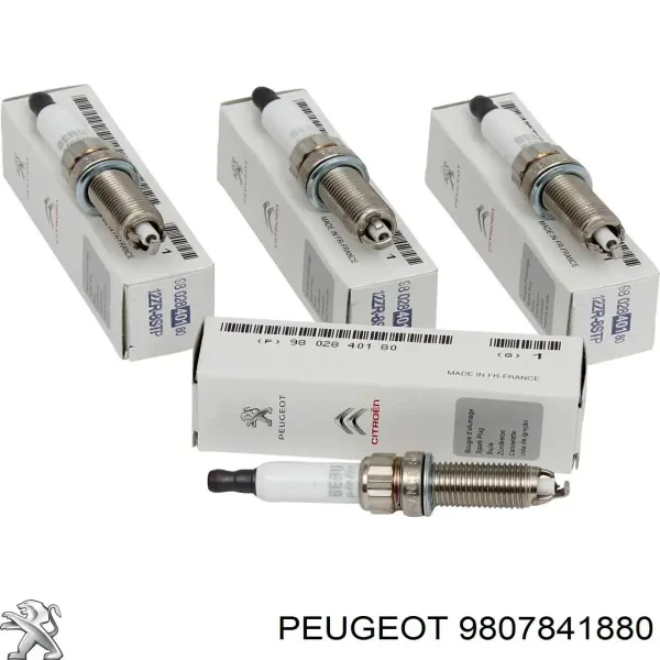 Катушка Peugeot/Citroen 9807841880