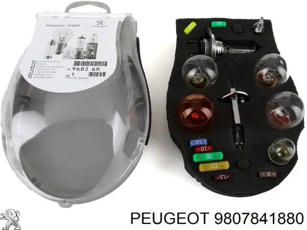 Купить 9807841880 Peugeot/Citroen Катушка зажигания