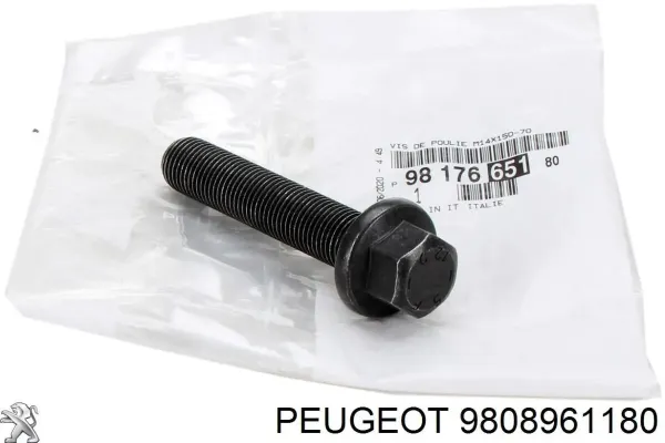 Болт шкива коленвала 3553439 Peugeot/Citroen