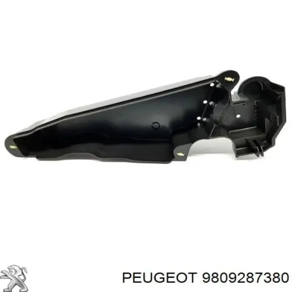  9809287380 Peugeot/Citroen