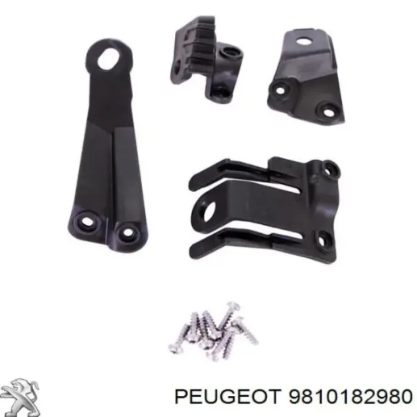  9810182980 Peugeot/Citroen