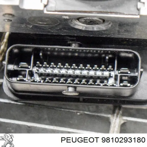  9810293180 Peugeot/Citroen