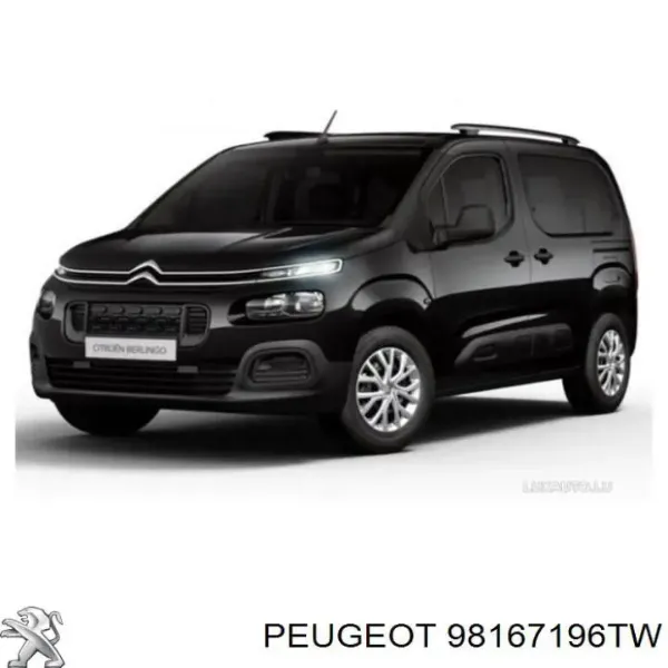  98167196TW Peugeot/Citroen