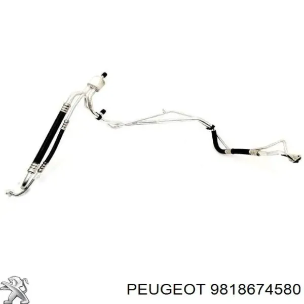  9818674580 Peugeot/Citroen