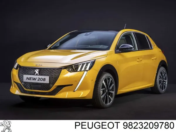  PPG43063A Signeda
