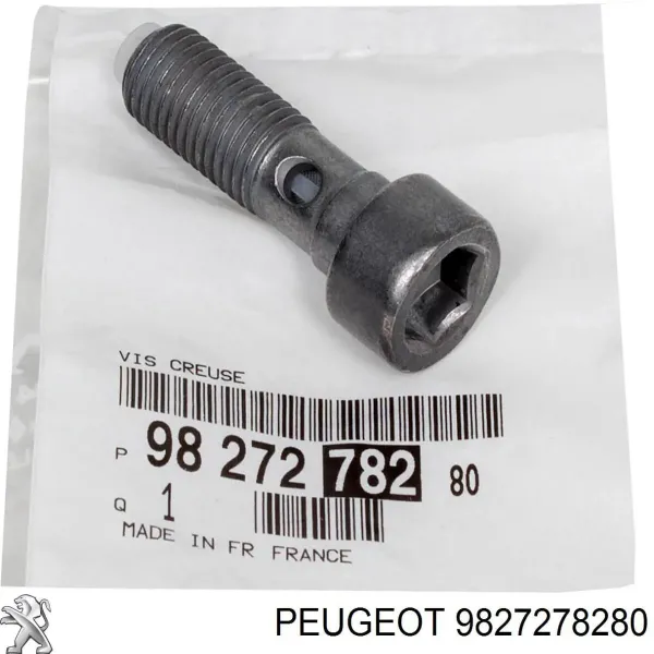  9827278280 Peugeot/Citroen