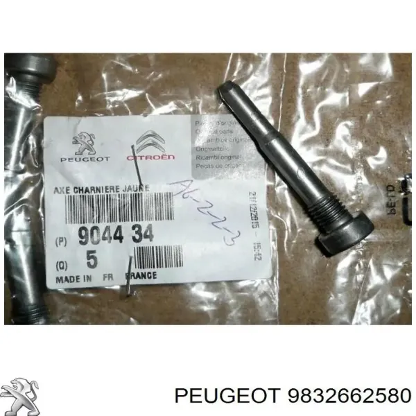  9832662580 Peugeot/Citroen