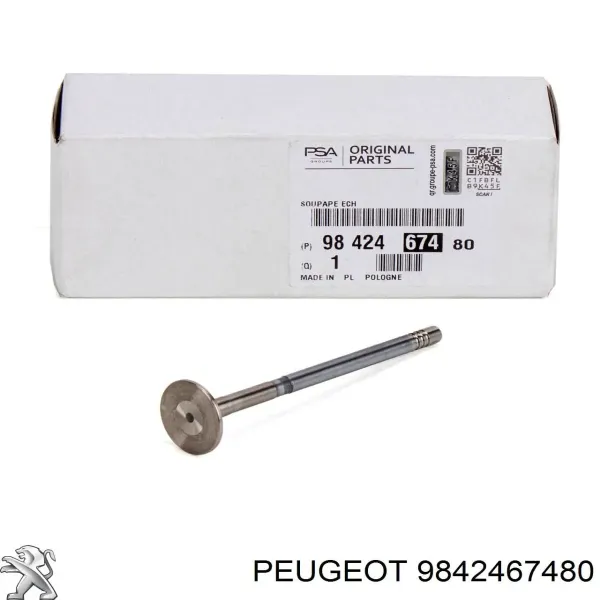 Выпускной клапан PCIT110B0N AMP/Paradowscy