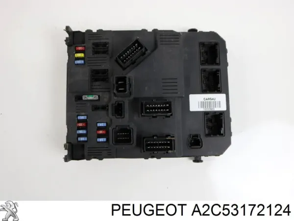  A2C53172124 Peugeot/Citroen