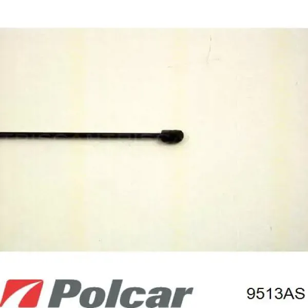 Амортизатор капота 9513AS Polcar