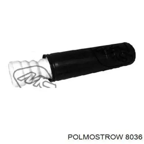  8036 Polmostrow