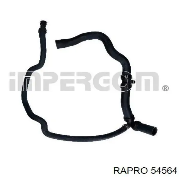  54564 Rapro