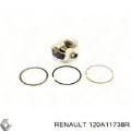 Поршень на 1 цилиндр RENAULT 120A11738R