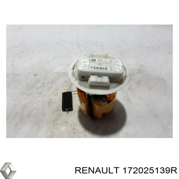  172025139R Renault (RVI)