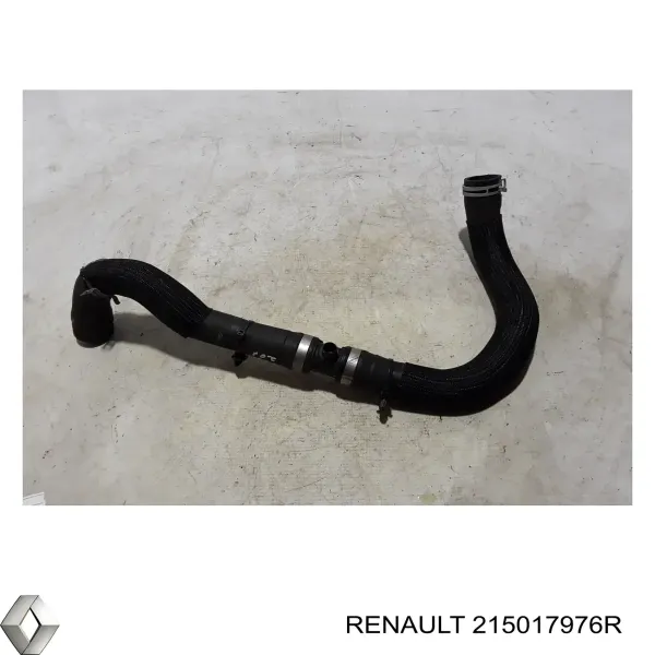  215017976R Renault (RVI)