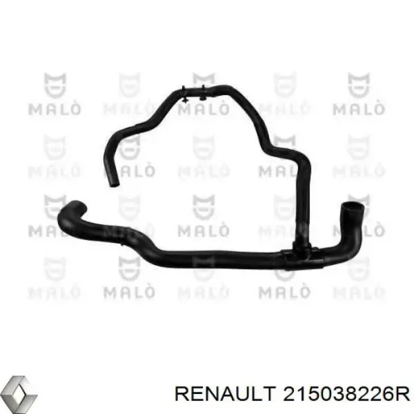Нижний шлаг радиатора охлаждения 215038226R Renault (RVI)