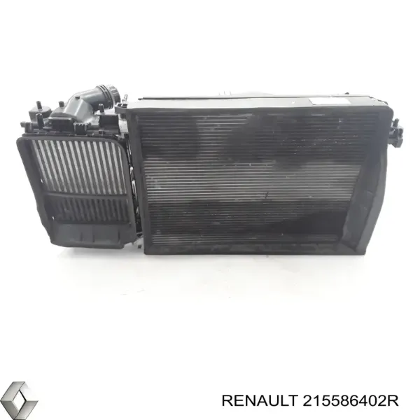  215586402R Renault (RVI)